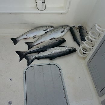 CCO Sportfishing - Tours Near Me - Seattle, Washington CCO Sportfishing - Tours Near Me - Seattle, Washington