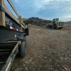 Deep Roots Tree Service