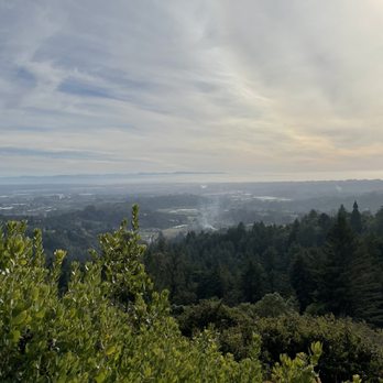 Byrne-Milliron Forest - Hiking Near Me - Corralitos, California