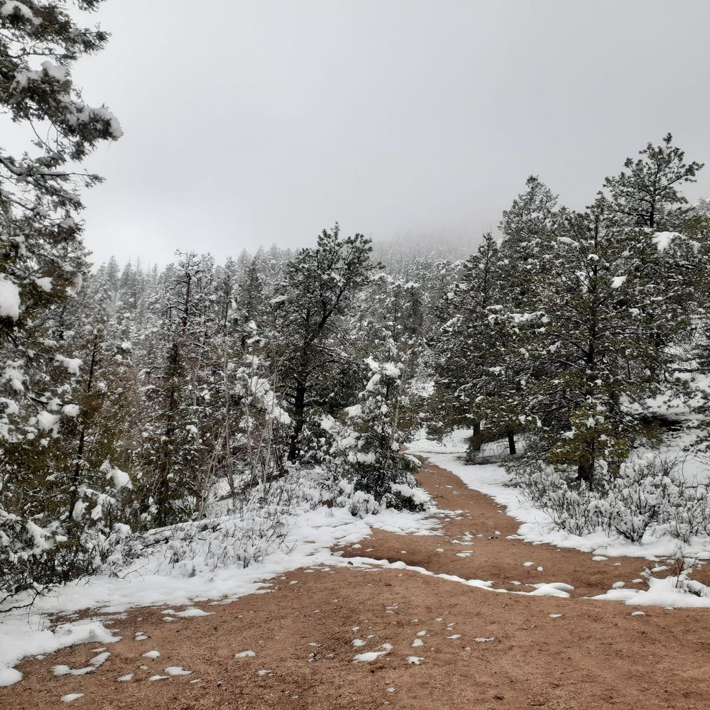 Manitou Incline - Hiking Near Me