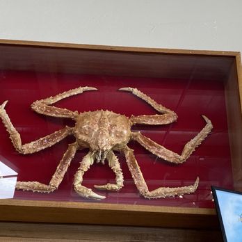 Halibut Point Crab & Chowder - Giant king crab. - Seafood Near Me - Sitka, Alaska