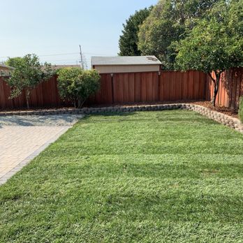 SunCrest Landscaping & Hardscape - a back yard - Landscaping Near Me - Danville, California SunCrest Landscaping & Hardscape - a back yard - Landscaping Near Me - Danville, California