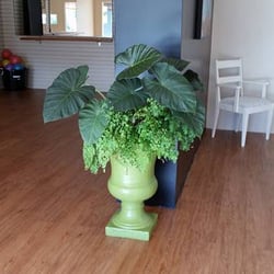Plank Pilates Studio