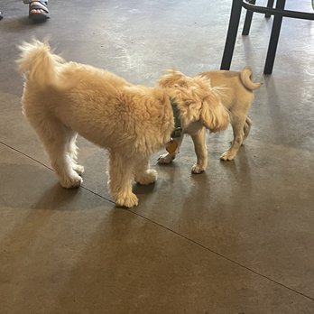 Boris & Horton - Cafes Near Me - New York, New York