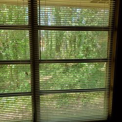 The view out my window. Looks like the country but convenient to everything right around the corner!