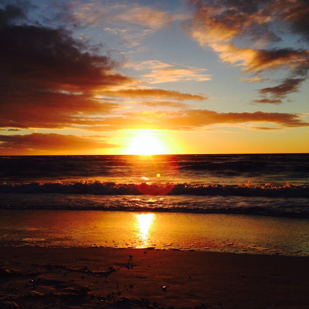 Bacchus Wine Bar - Sunset watching from Bacchus - always amazing! - Wine Bars Near Me - Henley Beach, SA