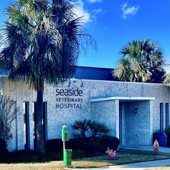 Seaside Veterinary Hospital - Seaside Veterinary Hospital -- storefront - Veterinarians Near Me - Saint Simons Island, Georgia Seaside Veterinary Hospital - Seaside Veterinary Hospital -- storefront - Veterinarians Near Me - Saint Simons Island, Georgia