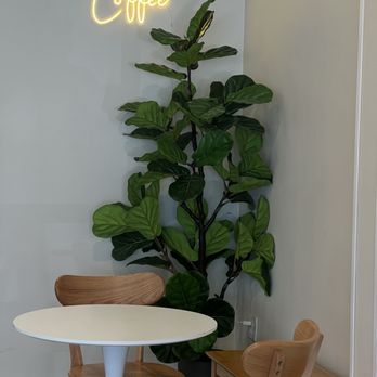 Drip Beans - interior - Coffee & Tea Near Me - San Diego, California Drip Beans - interior - Coffee & Tea Near Me - San Diego, California