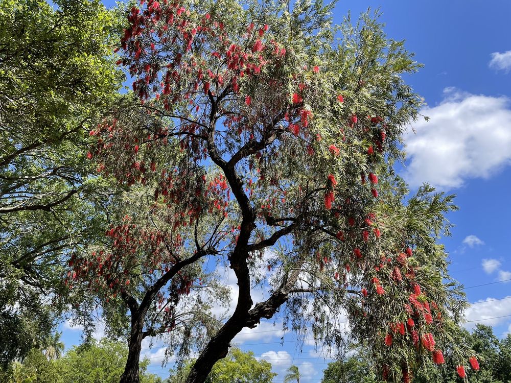 COCO PARC APARTMENTS with photos Updated August 2024 10 Photos