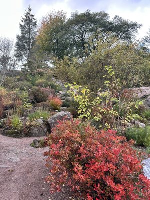 Gothenburg Botanical Garden by null