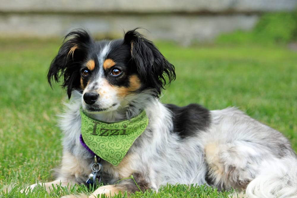 Sue Shepard, MFT - grief counselor in Costa Mesa, CA