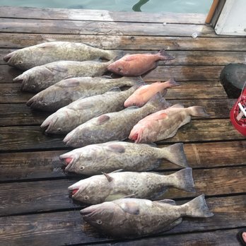Bottom Line Sportfishing - Boat Charters Near Me Bottom Line Sportfishing - Boat Charters Near Me
