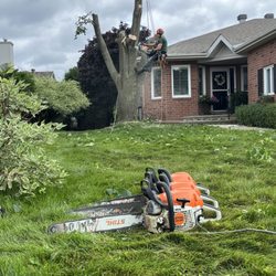 Elite Tree Services