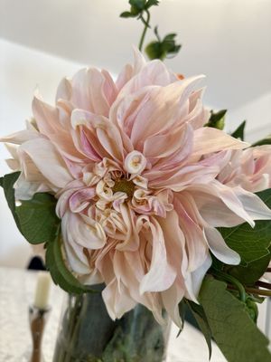 Brentwood Farmers Market by null