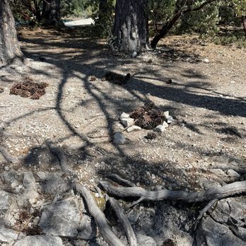 Sly Park Recreation Area - Hiking Near Me - Pollock Pines, California