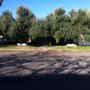 Photo of 3 Brothers Tree Service