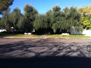 3 Brothers Tree Service - tree service in Henderson, NV