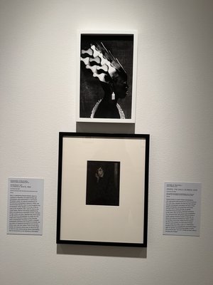 Rollins Museum of Art by null