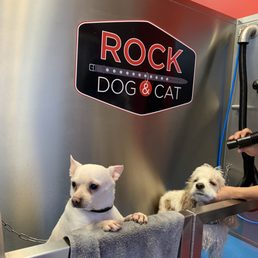 Buddies getting bathed side by side. Buddies getting bathed side by side.
