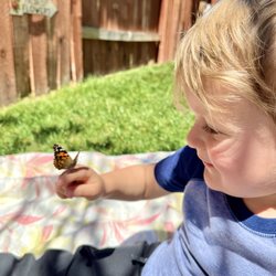 Little Farm Preschool