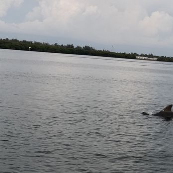 YOLO Adventures - Boat Charters Near Me - Bradenton Beach, Florida YOLO Adventures - Boat Charters Near Me - Bradenton Beach, Florida