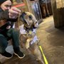 Photo of Smoky Mountain Dog Bar