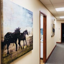 Watkins Dental Group