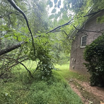 Naz Tree Service - North Georgia - Before - Tree Services Near Me - Roswell, Georgia Naz Tree Service - North Georgia - Before - Tree Services Near Me - Roswell, Georgia
