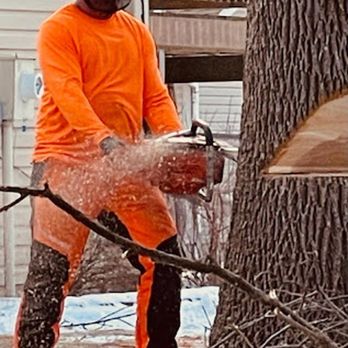 Weber Tree Care - Tree Services Near Me - Hugo, Minnesota Weber Tree Care - Tree Services Near Me - Hugo, Minnesota