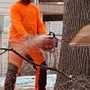 Photo of Weber Tree Care