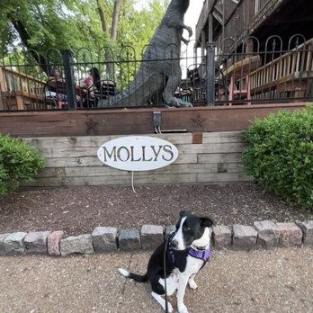 MOLLY’S IN SOULARD - Updated January 2026 - 411 Photos & 408 Reviews
