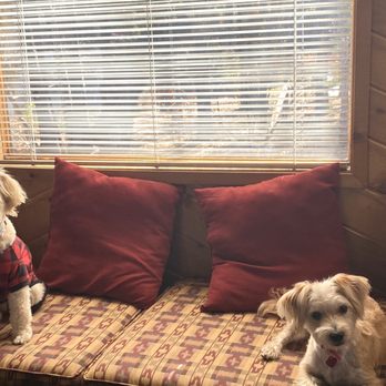 Fifi's Grooming - Pet Groomers Near Me - Imperial Beach, California