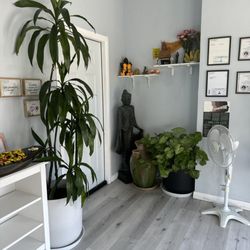 Buddha Thai Massage - The entryway