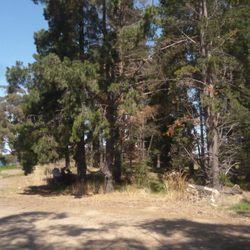 Whittlesea railway station, Melbourne - Remains