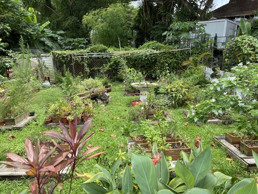 RedDot Brewhouse by null