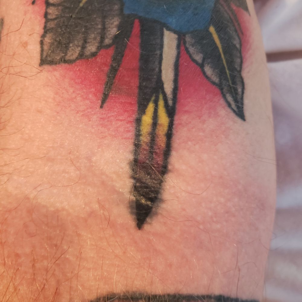 Top 380 Roxane Gay Quotes (2026 Update) [Page 2] - QuoteFancy, image size:1000x1000