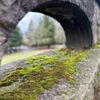 Joseph Wood Hill Park gift card