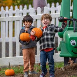 Breezy Point Day School and Camp - Children searching for pumpkins during our Fall carnival.