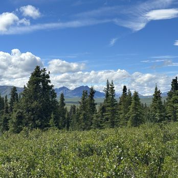 Denali National Park - Hiking Near Me - Mckinley Park, Alaska