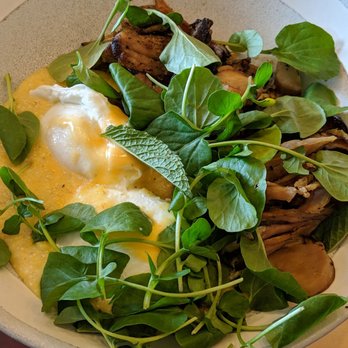 Birch - Pork shoulder with mushrooms and polenta - New American Near Me - Milwaukee, Wisconsin Birch - Pork shoulder with mushrooms and polenta - New American Near Me - Milwaukee, Wisconsin