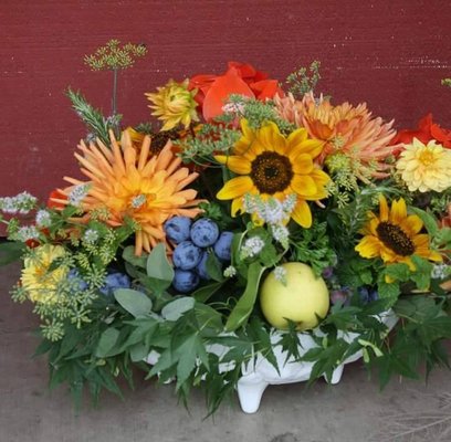Midway Farms | Fresh Goods | Albany by null