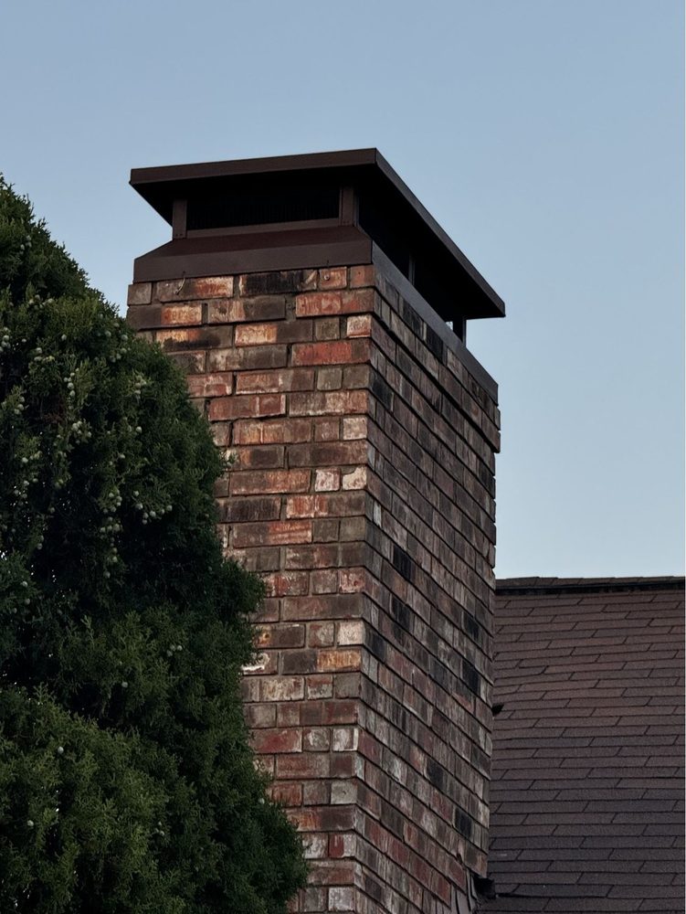 Slide of Sweeps N Ladders