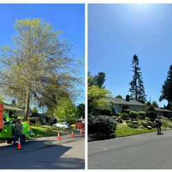 Emerald Valley Tree Service