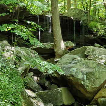 Frozen Head State Park - Parks Near Me - Wartburg, Tennessee Frozen Head State Park - Parks Near Me - Wartburg, Tennessee