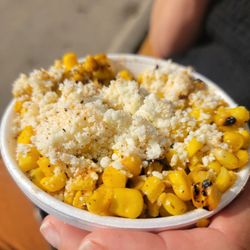 Iowa State Fair