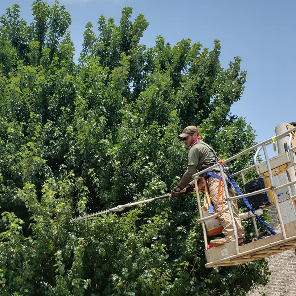 Veteran's Lawn Care & Landscaping - tree service in Huntsville, AL