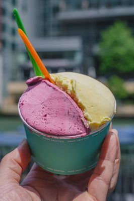 Sweet Home Gelato by null