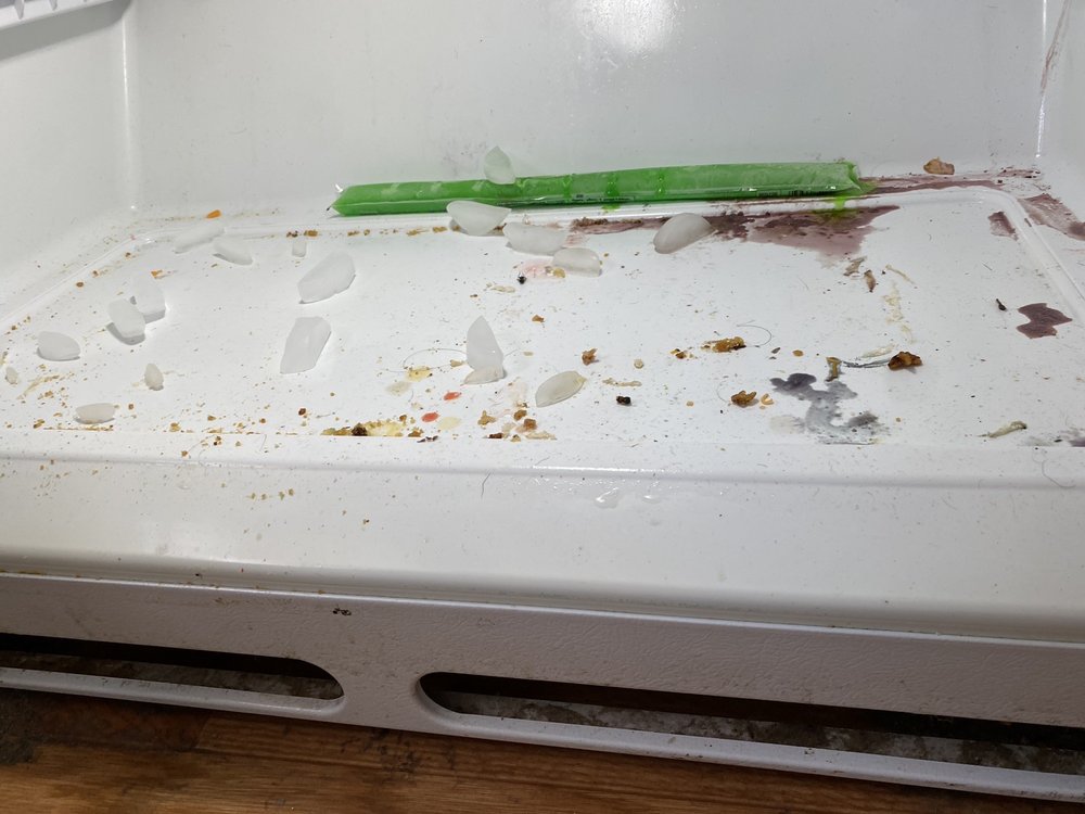 CLEARVIEW CLEANING Updated August 2024 Request a Quote Hobbs, New