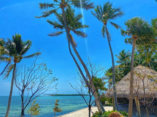 Amara Cay Resort by null