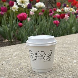 Curious Coffee branded to-go cup